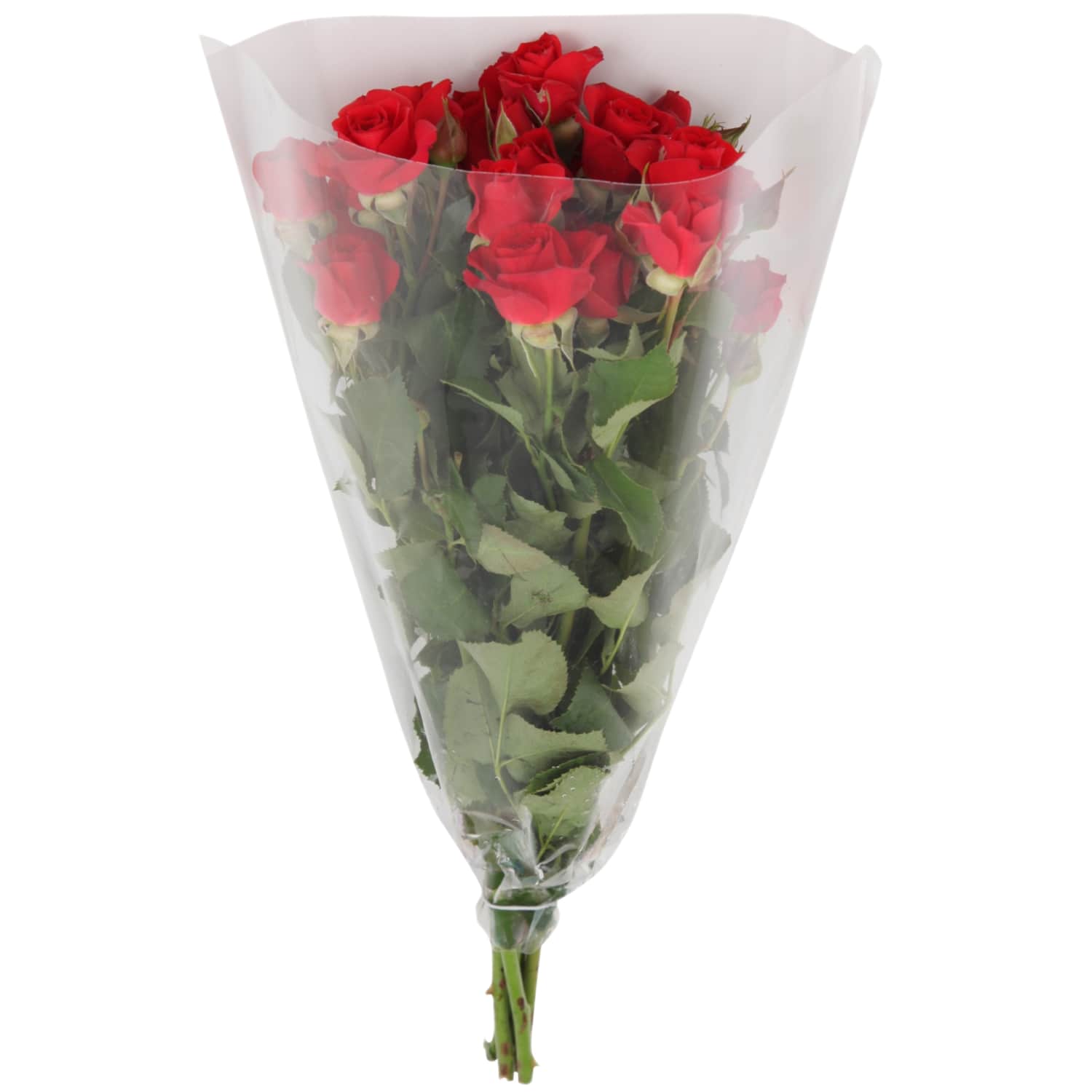 Smulkiažiedės rožės 40cm 5vnt
