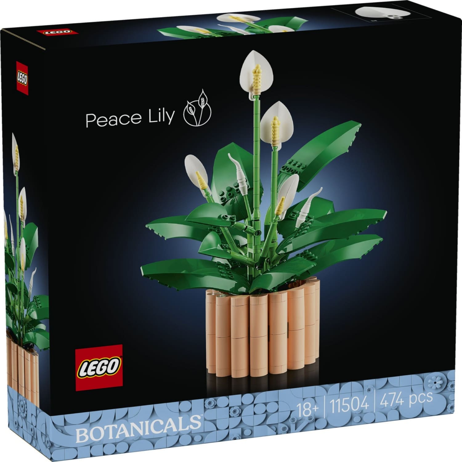 Konstruktorius LEGO Vėzdūnė 11504