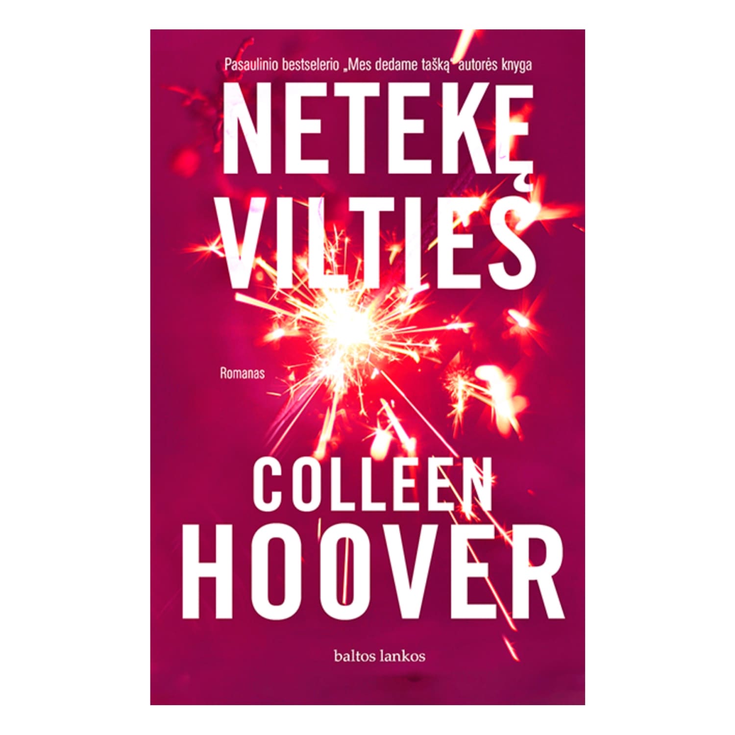 Knyga NETEKĘ VILTIES