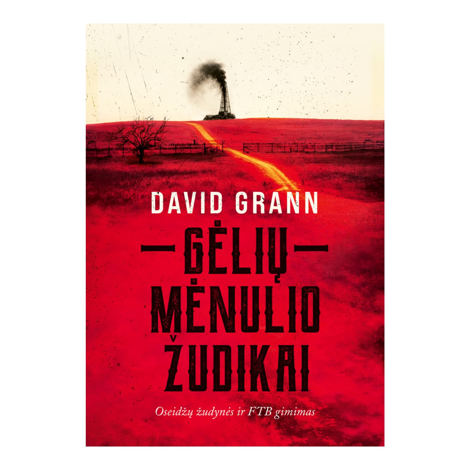 Knyga GĖLIŲ MĖNULIO ŽUDIKAI