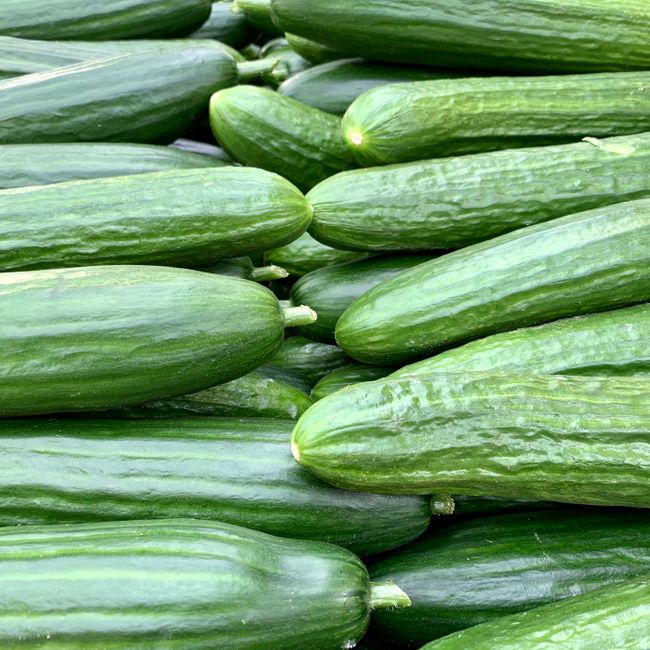 Agurkas