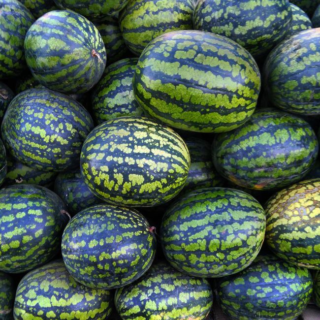 Arbūzas
