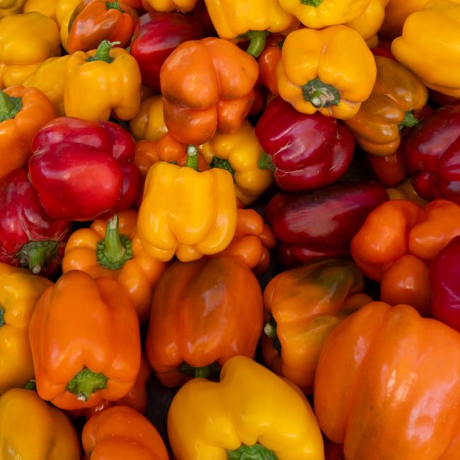 Paprika